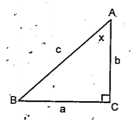 In the figure '/ A=x', write
'sin ^circ x, cos  x'
'tan x' 
a) Find 'sin xcos x'. 
b) What is '/B' ? 
c) Prove that 'sin (90-x)=cos x, cos (90-x)=sin x'