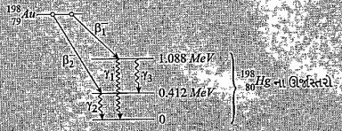 આકૃતિમાં દર્શાવ્યા પ્રમાણેની સંક્રાતિઓ અને ક્ષય માટે ઉત્સર્જાતા overlinebeta1 અને overlinebeta2 કણોની મહત્તમ ગતિઊર્જાઓ શોધો તથા ઉત્સર્જાતા gamma1 gamma2 અને gamma3 વિકિરણોની આવૃત્તિ શોધો.