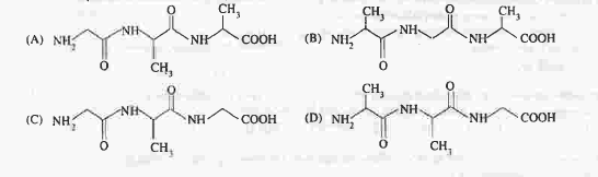 একটি ট্রাইপেপটাইডকে লেখা হল এইভাবে Glycine - Alanine - Glycine । এই ট্রাইপেপটাইডের সঠিক গঠন হল ।