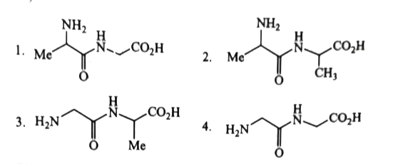 The dipeptides which may be obtained from the amino acids glycine and alanine are