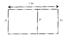 A cotainer AB in the shape of a rectangular parallelopiped of length 5 m is divided internally by a movable partition P as shown in the  figure .The left compartment is filled  with a given mass of  an ideal gas of molar mass 32  while the right compartment is filled with an equal mass another ideal gas of molar mass 18 at same temperature .What will be the distance of P from the left wall A when equilibrium is established ?