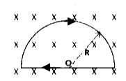 As shown in the figure. a wire is bent to form a 1 - shaped closed loop. carrying current I . where the curved part is a semi - circle of radius R . The loop is placed in a uniform magnetic field  vec(B) . which is directed into the plane of the paper . The magnetic force felt by the closed loop is