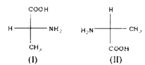 Which of the following statements are correct for the following isomeric compounds I and II :