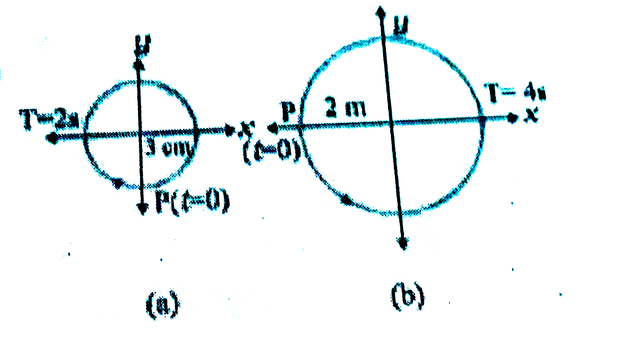 चित्र में दिए दो आरेख  दो वर्तुल गतियों  के तदनुरूपी  है |  प्रत्येक आरेख  पर वृत्त की त्रिज्या, परिक्रमण-काल, आरंभिक स्थिति ओर परिक्रमण  की दिशा दर्शायी गई है | प्रत्येक परिक्रमण  करते कण के त्रिज्य-सदिश  के x-अक्ष पर प्रक्षेप  की तदनुरूपी  सरल आवर्त  गति ज्ञात कीजिए |