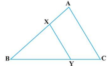 In  Figure the line segment XY is parallel to side AC of DeltaA B Cand  it divides the triangle into two parts of equal areas. Find the ratio (A X)/(A B).