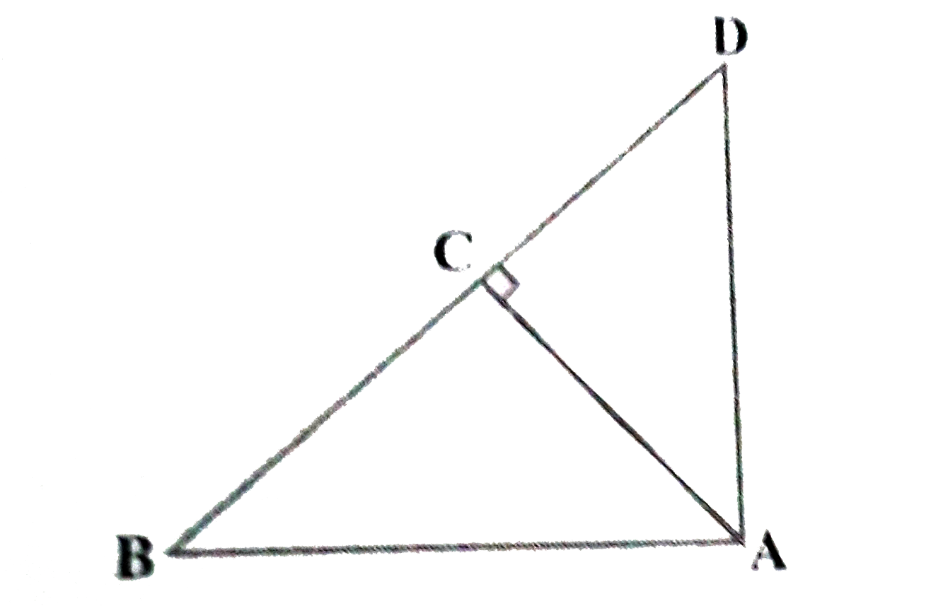 आकृति 6 . 53 में ABD  एक समकोण त्रिभुज है जिसका कोण A समकोण है तथा AC bot BD है । दर्शाइए कि   (i) AB^(2) = BC gt BD   (ii) AC^(2) = BC . DC   (iii) AD^(2) = BD . CD