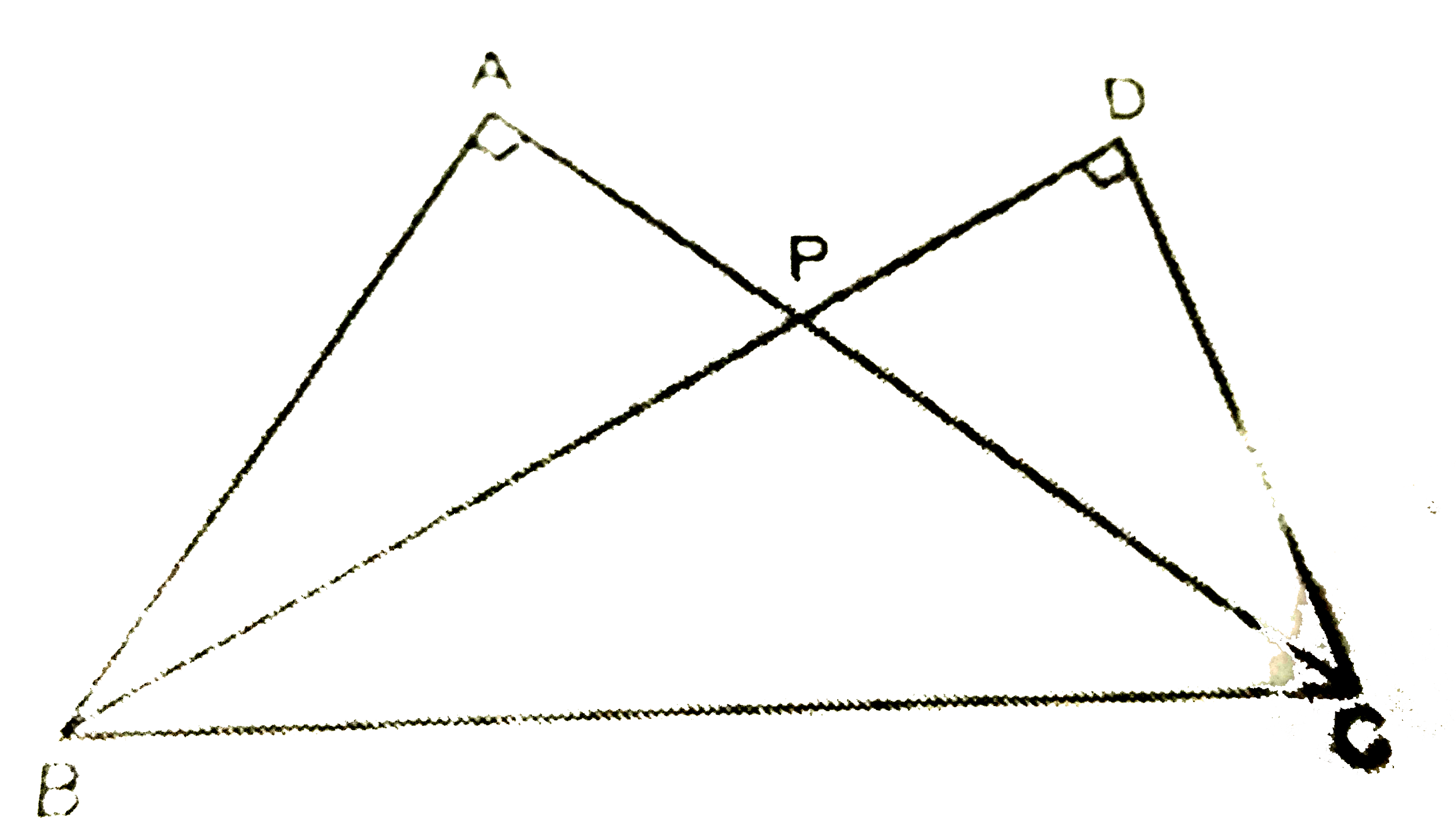 चित्र  में , उभयनिष्ट  विकर्ण  BC  के  दो  समकोण  त्रिभुज  ABC  तथा  DBC  हैं  तथा  भुजाएँ  AC   तथा  DB  एक  - दूसरे  को  एक  बिन्दु  P  पर  प्रतिच्छेद  करती हैं । सिद्ध  कीजिए  कि   AP.PC = DP. PB.
