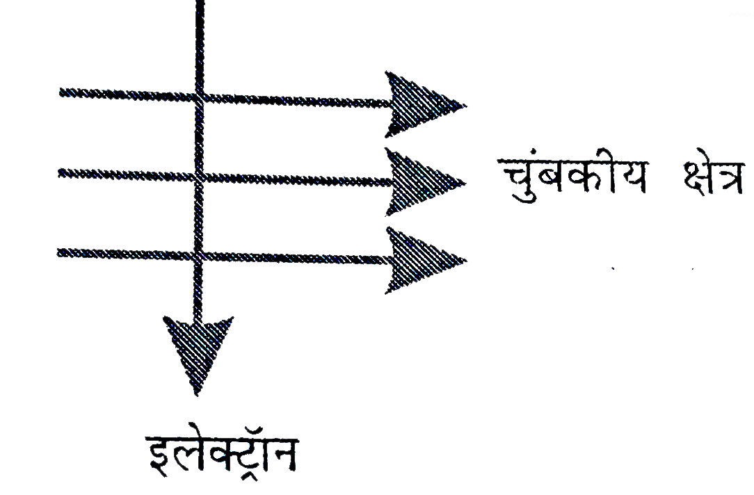चित्र 13 .14 में दर्शाए अनुसार कोई इलेक्ट्रॉन किसी चुंबकीय क्षेत्र में क्षेत्र के लंबवत प्रवेश करता है इलेक्ट्रॉन पर आरोपित बल की दिशा क्या है ?   (a) दाई ओर   (b) बाई ओर   (c )कागज़ से बाहर की ओर आते हुए   (d) कागज़ से भीतर की ओर जाते हुए