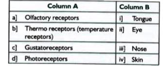 Match the terms of Column A with those of Column B.