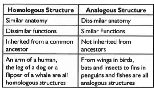 [Kannada] Write the differences between homologous organs and analogou