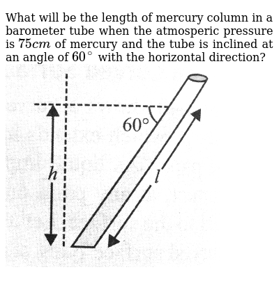 Mercury barometer essay image