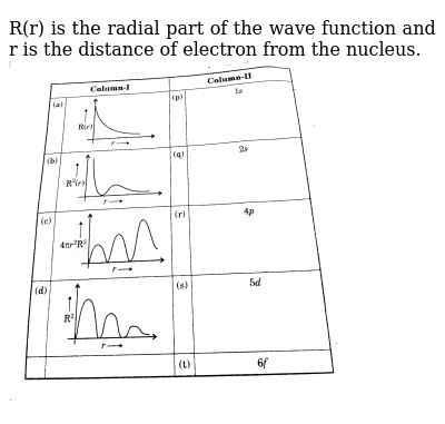 Radial Wave Function