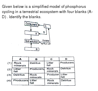 Carbon Cycle Oxygen Cycle And Phosphorus Cycle Ias Abhiyan