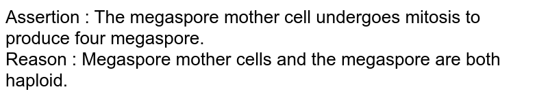 Assertion : The megaspore mother cell undergoes mitosis to produce four megaspore. Reason : Megaspore mother cells and the megaspore are both haploid.