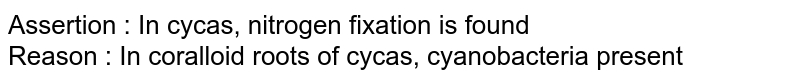 Assertion : In cycas, nitrogen fixation is found Reason : In coralloid roots of cycas, cyanobacteria present