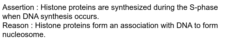Assertion : Histone proteins are synthesized during the S-phase when DNA synthesis occurs. Reason : Histone proteins form an association with DNA to form nucleosome.
