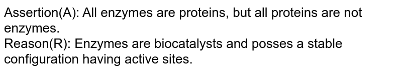 Assertion(A): All enzymes are proteins, but all proteins are not enzymes. Reason(R): Enzymes are biocatalysts and posses a stable configuration having active sites.