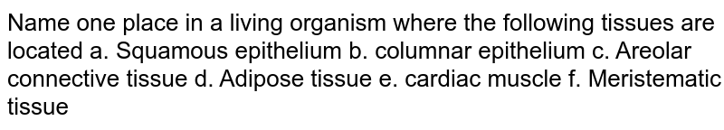 Name one place in a living organism where the following tissues are located a. Squamous epithelium b. columnar epithelium c. Areolar connective tissue d. Adipose tissue e. cardiac muscle f. Meristematic tissue