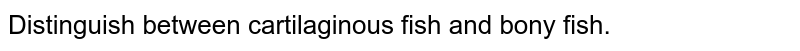 Distinguish between cartilaginous fish and bony fish.