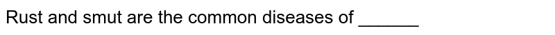 Rust and smut are the common diseases of ______
