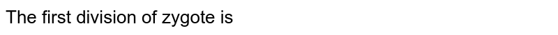 The first division of zygote is