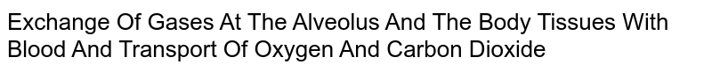 Exchange Of Gases At The Alveolus And The Body Tissues With Blood And Transport Of Oxygen And Carbon Dioxide
