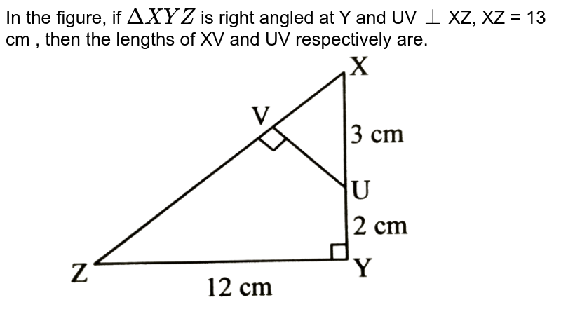 In the figure, if DeltaXYZ is right angled at Y and UV bot XZ, XZ = 13 cm , then the lengths of XV and UV respectively are.