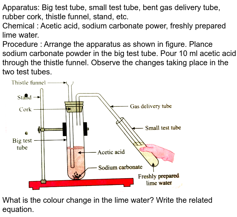 A student takes sodium hydrogen carbonate powder in a test tube an