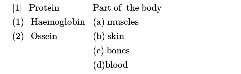 {:(,[1]" Protein", "Part of the body"),(,(1)" Haemoglobin","(a) muscles"),(,(2)" Ossein ","(b) skin"),(,"","(c) bones"),(,"","(d)blood"):}