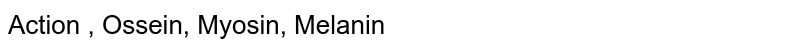 Action , Ossein, Myosin, Melanin