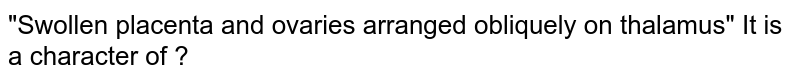 "Swollen placenta and ovaries arranged obliquely on thalamus" It is a character of ?