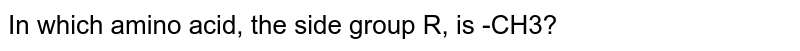 In which amino acid, the side group R, is -CH3?