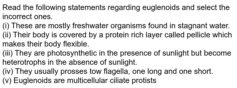 Read the following statements regarding euglenoids and select the incorrect ones. (i) These are mostly freshwater organisms found in stagnant water. (ii) Their body is covered by a protein rich layer called pellicle which makes their body flexible. (iii) They are photosynthetic in the presence of sunlight but become heterotrophs in the absence of sunlight. (iv) They usually prosses two flagella, one long and one short. (v) Euglenoids are multicellular ciliate protists