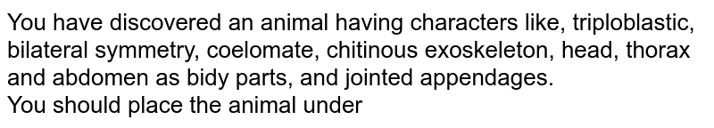 You have discovered an animal having characters like, triploblastic, bilateral symmetry, coelomate, chitinous exoskeleton, head, thorax and abdomen as bidy parts, and jointed appendages. You should place the animal under