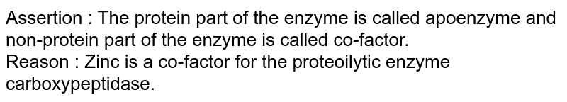 Assertion : The protein part of the enzyme is called apoenzyme and non-protein part of the enzyme is called co-factor. Reason : Zinc is a co-factor for the proteoilytic enzyme carboxypeptidase.