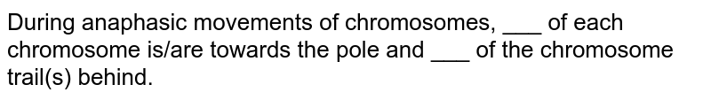 During anaphasic movements of chromosomes, ___ of each chromosome is/are towards the pole and ___ of the chromosome trail(s) behind. 