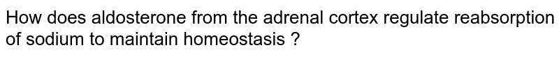Which Electrolyte Does Aldosterone Directly Regulate The Concentra Which Electrolyte Does Aldosterone Directly Regulate The Concentra