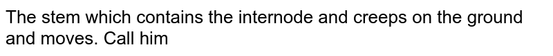 The stem which contains the internode and creeps on the ground and moves. Call him