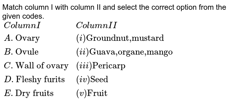 Match column I with column II and select the correct option from the given codes. {:(Column I,Column II),(A."Ovary",(i)"Groundnut,mustard"),(B."Ovule",(ii)"Guava,organe,mango"),(C."Wall of ovary",(iii)"Pericarp"),(D."Fleshy furits",(iv)"Seed"),(E."Dry fruits",(v)"Fruit"):}