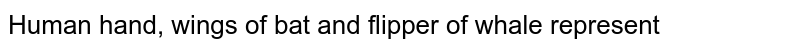 Human hand, wings of bat and flipper of whale represent