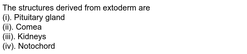 The structures derived from extoderm are (i). Pituitary gland (ii). Comea (iii). Kidneys (iv). Notochord
