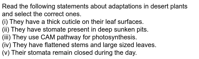 Read the following statements about adaptations in desert plants and select the correct ones. (i) They have a thick cuticle on their leaf surfaces. (ii) They have stomate present in deep sunken pits. (iii) They use CAM pathway for photosynthesis. (iv) They have flattened stems and large sized leaves. (v) Their stomata remain closed during the day.