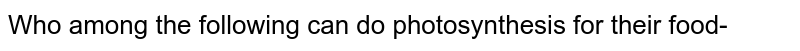 Who among the following can do photosynthesis for their food-