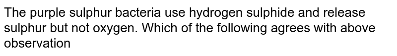 The purple sulphur bacteria use hydrogen sulphide and release sulphur but not oxygen. Which of the following agrees with above observation