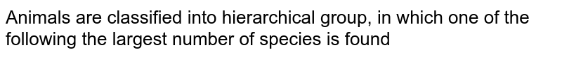 Animals are classified into hierarchical group, in which one of the following the largest number of species is found