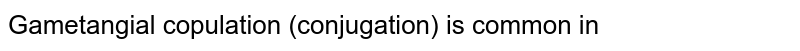 Gametangial copulation (conjugation) is common in