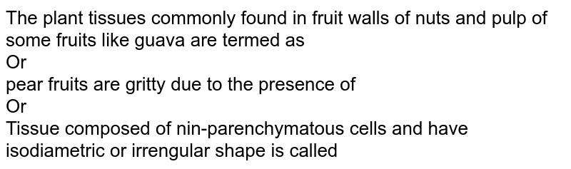 The plant tissues commonly found in fruit walls of nuts and pulp of some fruits like guava are termed as Or pear fruits are gritty due to the presence of Or Tissue composed of nin-parenchymatous cells and have isodiametric or irrengular shape is called