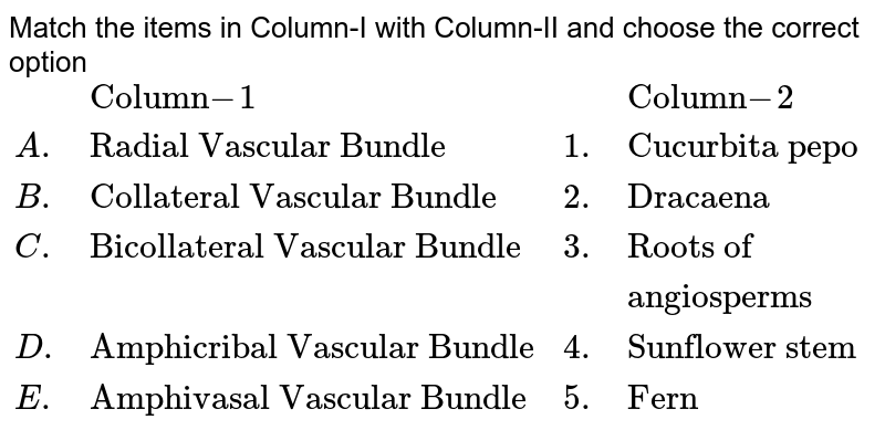 Match the items in Column-I with Column-II and choose the correct option {:(,"Column"-1,,"Column"-2,),(A.,"Radial Vascular Bundle",1.,"Cucurbita pepo",),(B.,"Collateral Vascular Bundle",2.,"Dracaena",),(C.,"Bicollateral Vascular Bundle",3.,"Roots of ",),(,,,"angiosperms",),(D.,"Amphicribal Vascular Bundle",4.,"Sunflower stem",),(E.,"Amphivasal Vascular Bundle",5.,"Fern",):}
