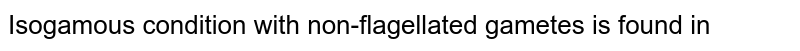Isogamous condition with non-flagellated gametes is found in