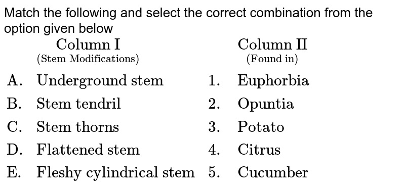 Match the following and select the correct combination from the option given below {:(,underset("(Stem Modifications)")("Column I"),,underset("(Found in)")("Column II")),("A.","Underground stem",1.,"Euphorbia"),("B.","Stem tendril",2.,"Opuntia"),("C.","Stem thorns",3.,"Potato"),("D.","Flattened stem",4.,"Citrus"),("E.","Fleshy cylindrical stem",5.,"Cucumber"):}